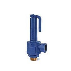 Forbes Marshal Safety Valve