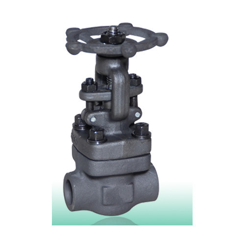 Class 800 Globe Valve
